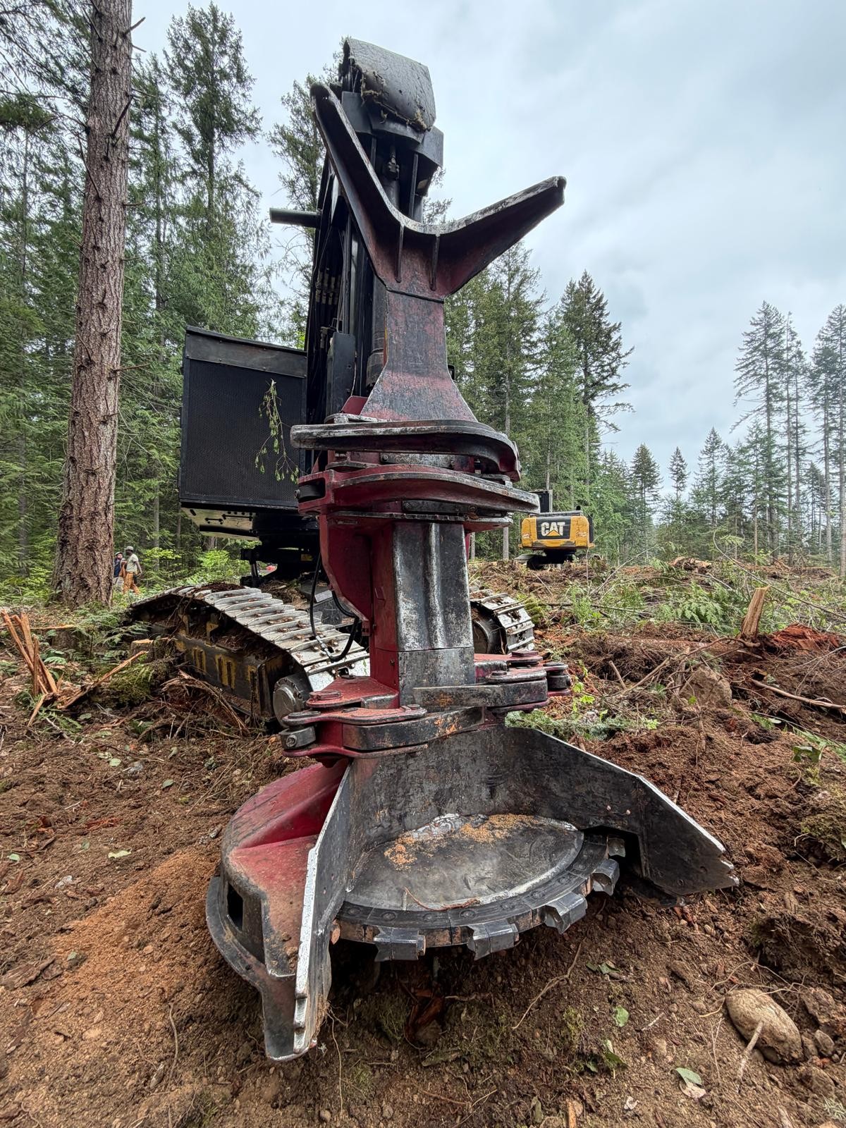 feller buncher