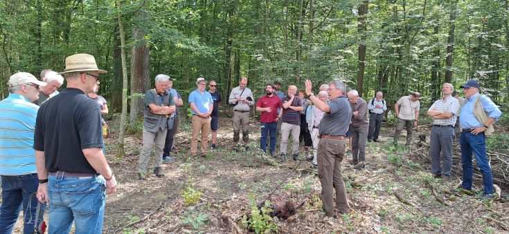 Stadtförster Rainer Fell erklärt auf der Exkursion den Mittelwald, Bild: Dr. Joachim Hamberger