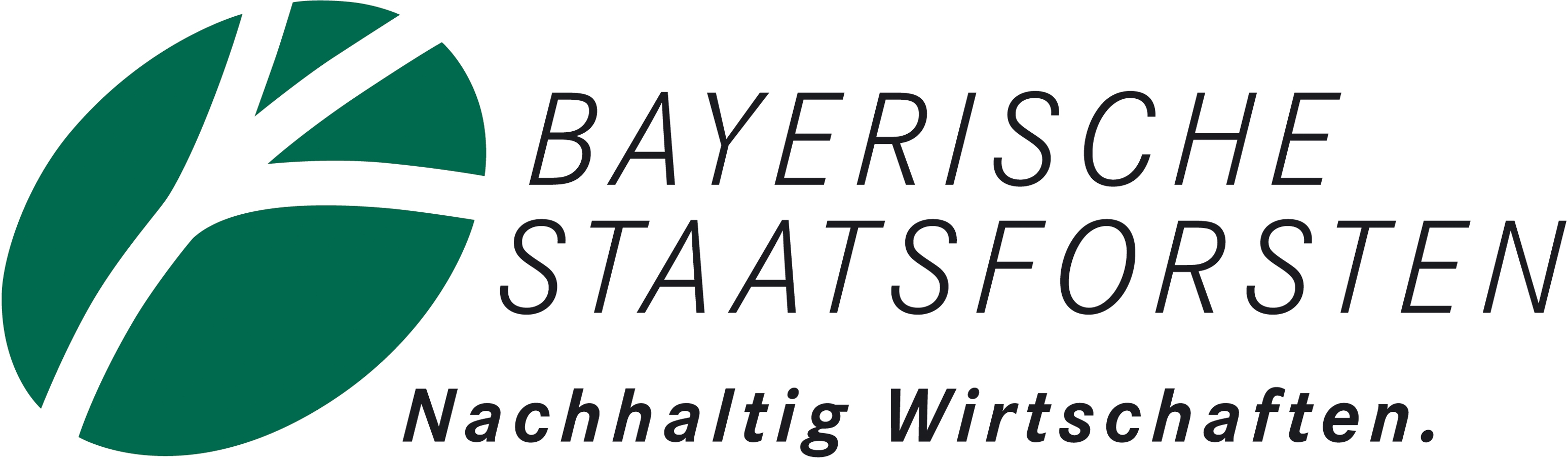 Logo_BaySF_farbig.JPG