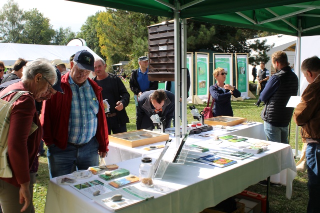 Ausstellungsstand des Zentrums Wald-Forst-Holz Weihenstephan. Foto C. Josten, ZWFH