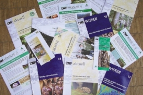 card aaw 6