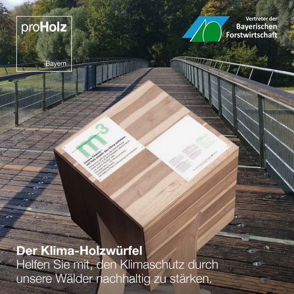 Klimaholzwürfel Klimaholzwürfel