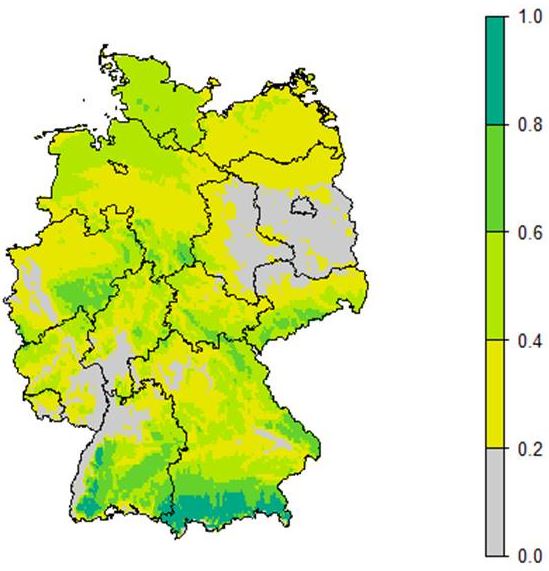Beim derzeit realistischsten Klima-Szenario (RCP 4.5), das einer (globalen) Erwärmung von ca. 2,6 °C gegenüber dem vorindustriellen Wert entspricht, wird die Buche im Rhein-Main-Gebiet und weiten Teile Brandenburgs und Sachsen-Anhalts verschwinden. In Bayern wird die Buche in Teilen Frankens verschwinden und ebenso im Tertiären Hügelland im Raum um Straubing. Außer in den Mittelgebirgslagen, wird die Buche überall in deutlichen Stress geraten. Foto: Tobias Mette