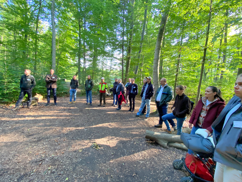 Teilnehmerinnen und Teilnehmer bei der Exkursion im Siebentischwald. Foto: M. Schaller