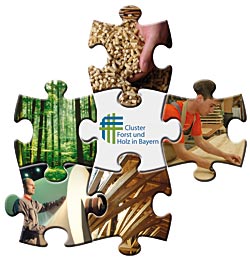 Puzzle der Cluster-Initiative