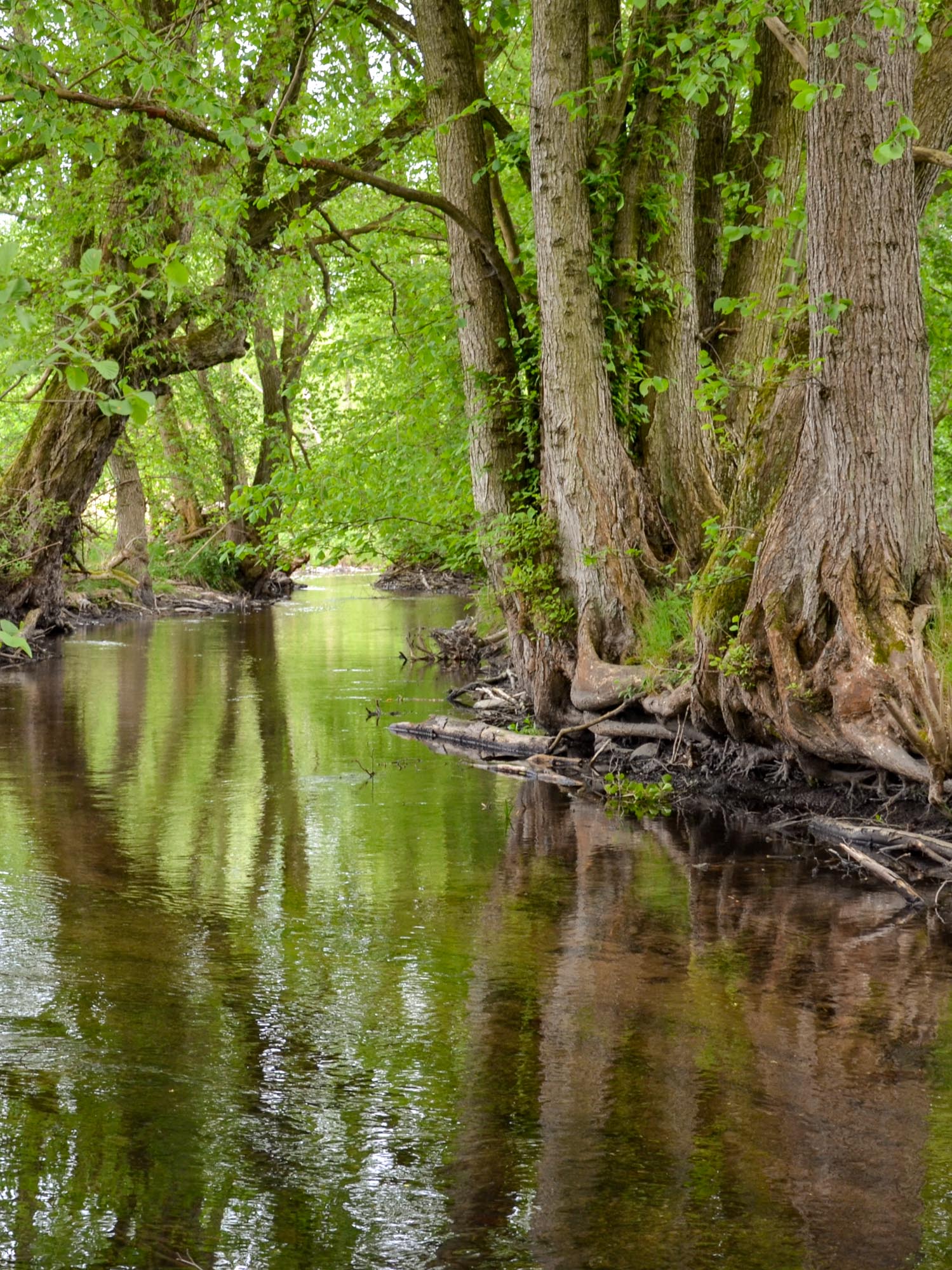 Foto: Gerd Janssen