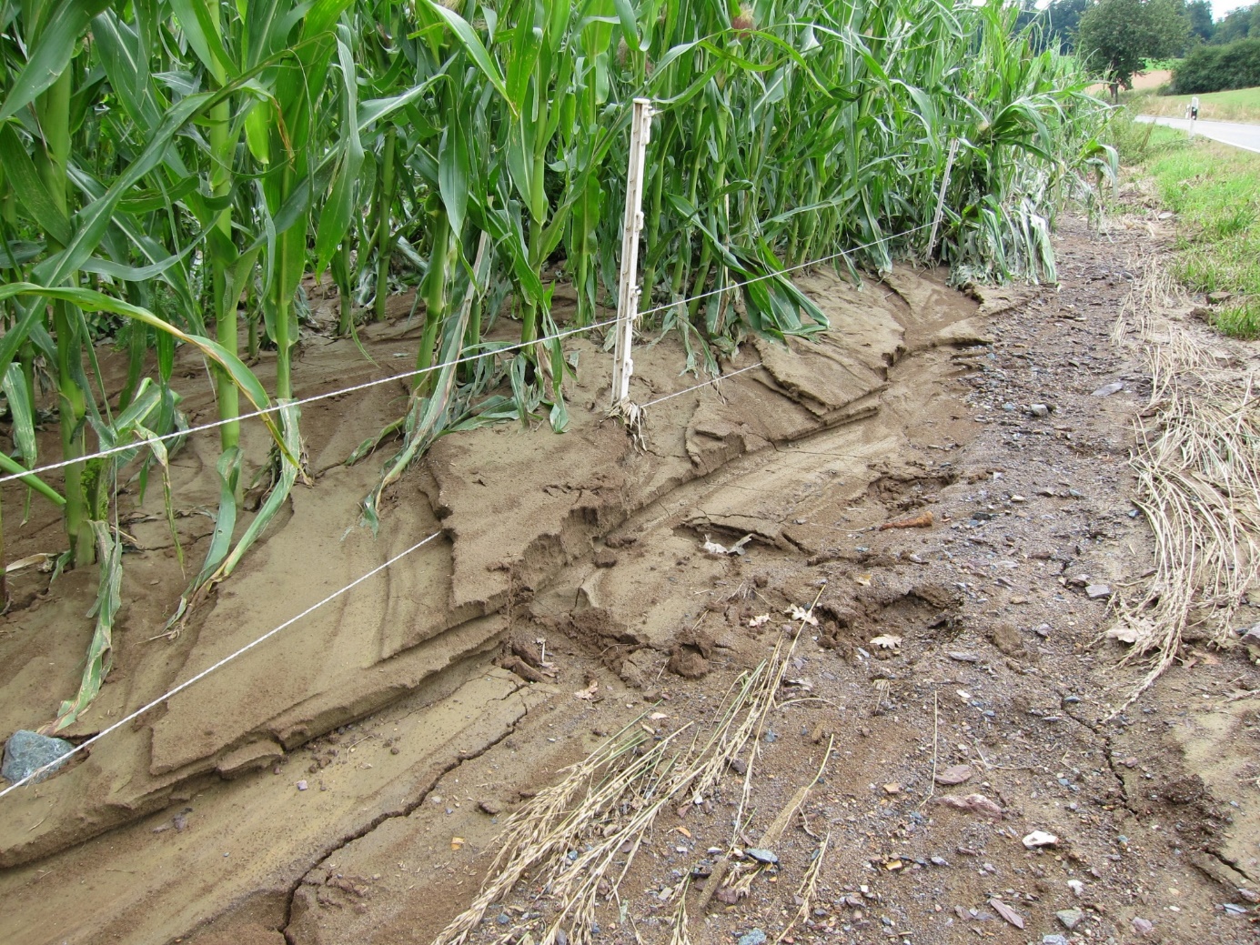 Erhebliche Erosionsschäden durch Starkregen im Juli 2018. Foto P. Weckenbrock