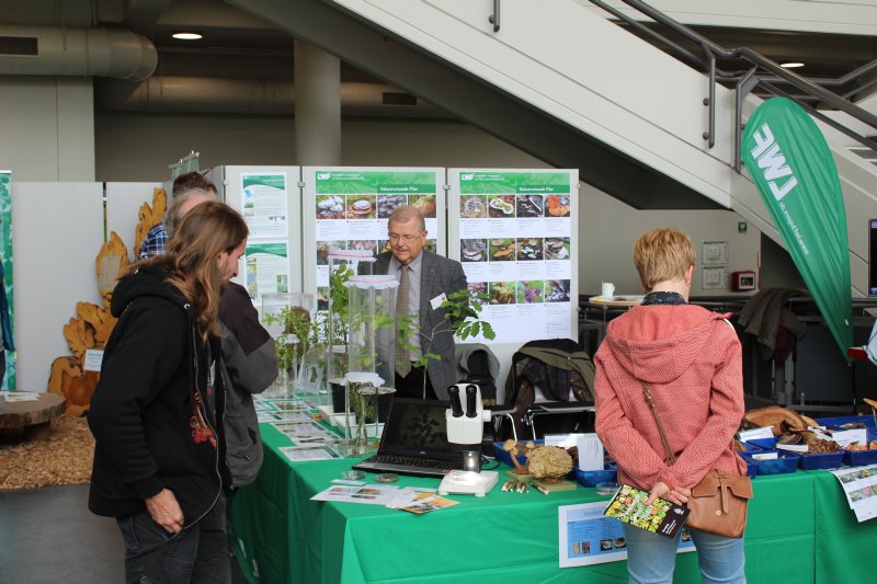 Olaf Schmidt, Präsident der LWF, beantwortet Fragen der Stand-Besucher bei den Deutschen Baumpflegetagen 2019. Foto: F. Stahl, LWF
