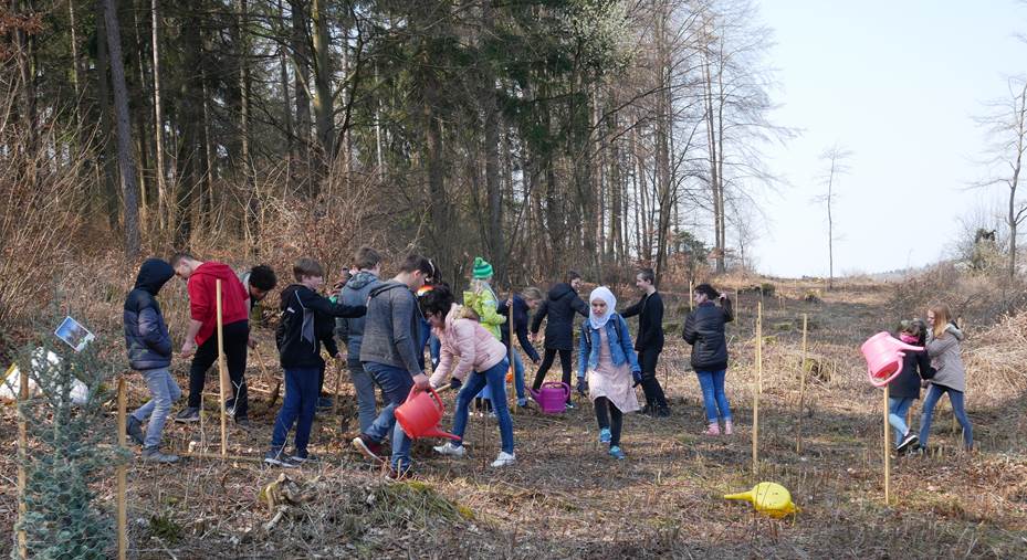 Pflanzaktion zur Waldrandgestaltung mit Schule ohne Rassismus. Foto: Mitteschule Parsberg