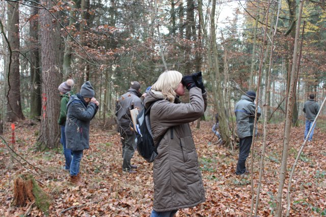 Die Teilnehmer des Workshops „Waldbaden“ fokussieren ihre Wahrnehmung im Wald. Foto: S. Frommknecht, LWF