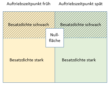 Schematische Darstellung des Versuchsdesign