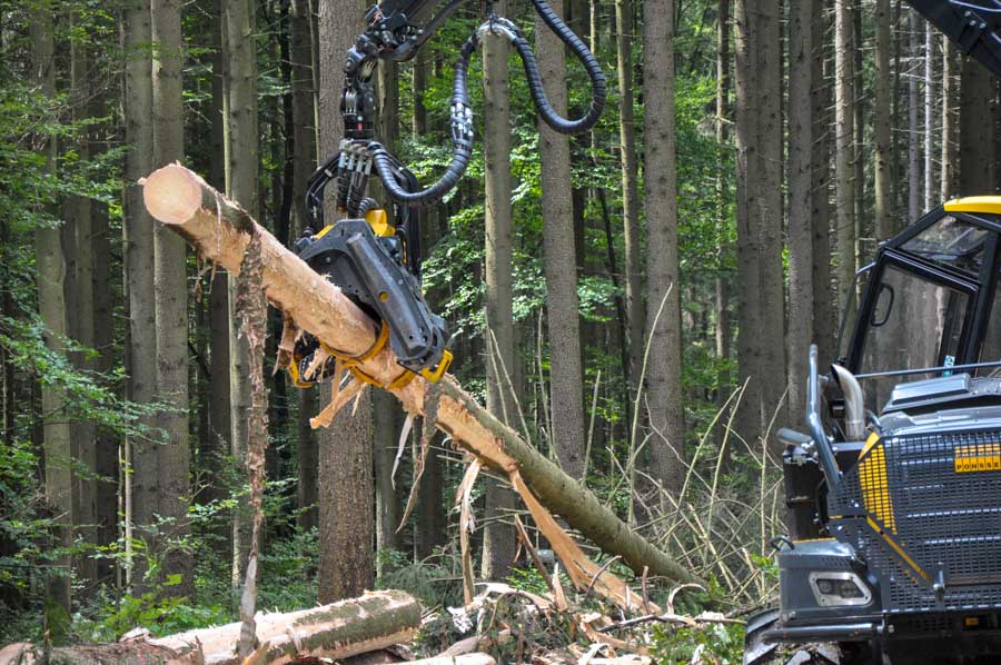 Debarking Head, hier von Ponsse, bei der Entrindung eines Fichtenstammes. Foto: HSWT