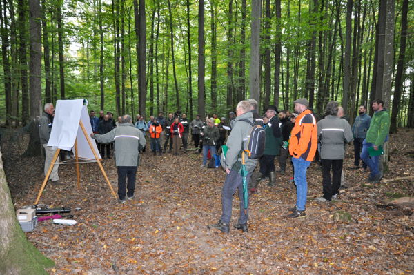 Hans-Peter Dietrich (LWF) gibt den Teilnehmern einen Einblick in die Funktionsweise einer Waldklimastation und präsentiert meteorologische Messergebnisse aus dem Guttenberger Wald. Foto: J. Stiegler, LWF Hans-Peter Dietrich (LWF) gibt den Teilnehmern einen Einblick in die Funktionsweise einer Waldklimastation und präsentiert meteorologische Messergebnisse aus dem Guttenberger Wald.