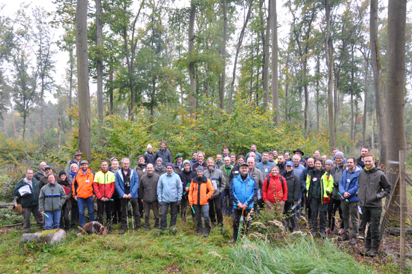 Das unterschiedliche Ausmaß der Trockenschäden wurde den Teilnehmer*innen am Beispiel von drei Exkursionsbeständen vermittelt. Foto: J. Stiegler, LWF Das unterschiedliche Ausmaß der Trockenschäden wurde den Teilnehmer*innen am Beispiel von drei Exkursionsbeständen vermittelt. Foto: J. Stiegler, LWF