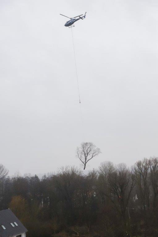 09 210201 Heli Logging C. Josten ZWFH 5