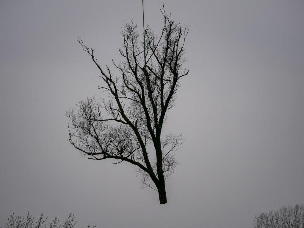 10 210201 Heli Logging C. Josten ZWFH 19