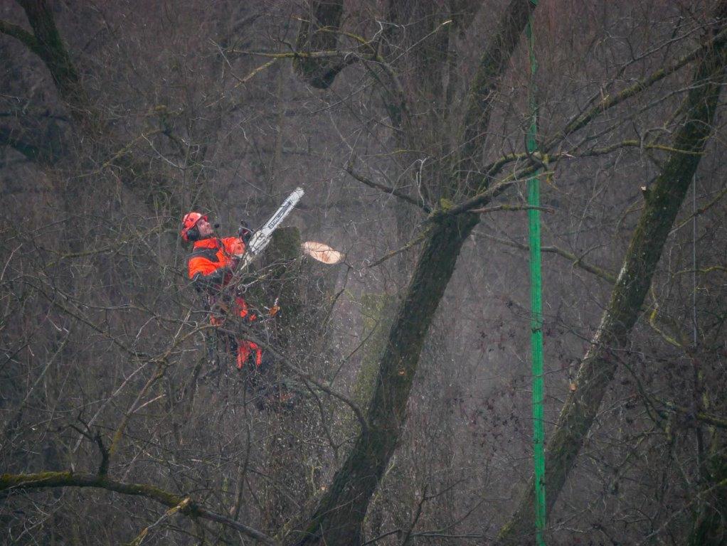 14 210201 Heli Logging C. Josten ZWFH 18