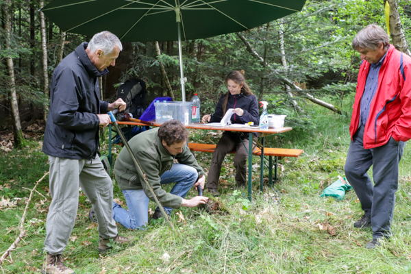 Die Studierenden im 6. Semester Forstwissenschaft und Ressourcenmanagement stellen beim Bachelor-Kolloquium an der TUM ihr gesammeltes Wissen aus sechs Semestern unter Beweis. Foto: C. Josten, ZWFH