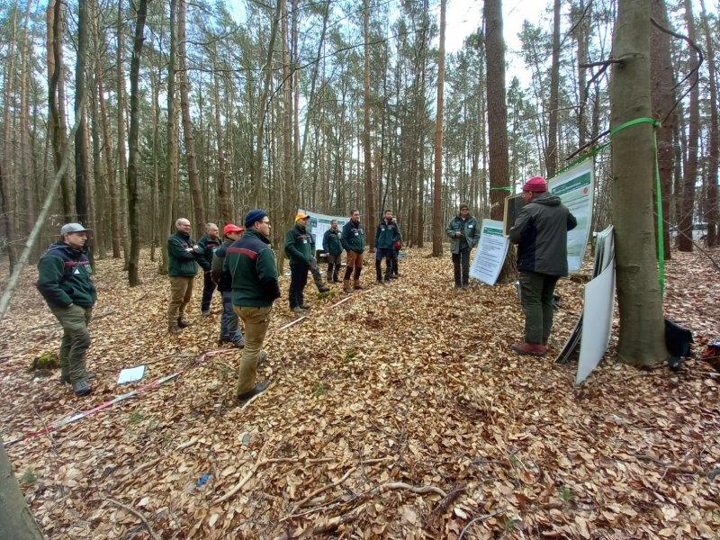 Kollegen von Sachsenforst erläutern ihre Ziele zur weiteren waldbaulichen Behandlung und ihrer geplanten Maßnahme (Auszeichnung) über eine intensive waldbauliche Diskussion. Foto: O. Ruppert, LWF