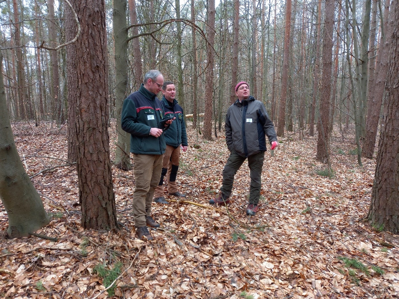 Im Bild (v.l.n.r.): Dr. Hans-Joachim Klemmt (Abteilungsleiter Waldbau und Bergwald), Stefan Tretter (Abteilungsleiter Forschungsförderung, Controlling, Großrauminventuren), Dr. Franz Binder (ehemaliger Stabstellenleiter Forschungsförderung & Controlling), Dr. Peter Pröbstle (Leiter der LWF)