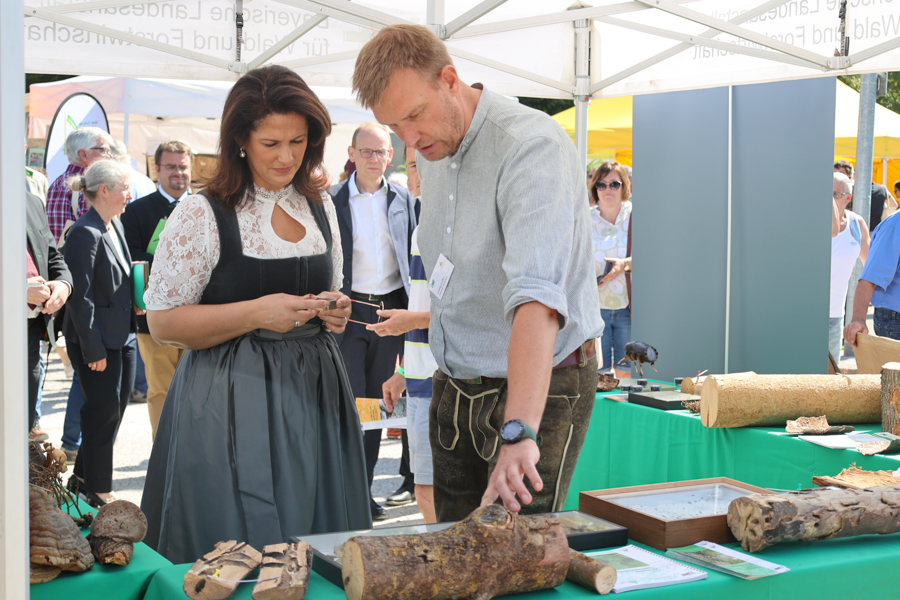Staatsministerin Michaela Kaniber mit Waldschutz-Experte Ludwig Straßer an einem der LWF-Stände. Foto: J. Landgrebe, LWF 019A0855 J. Landgrebe 1