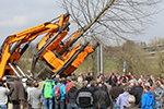 Zuschauer Großbaum Pflanzung.k.online