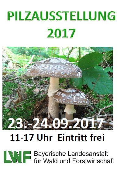 Pilzausstellung
